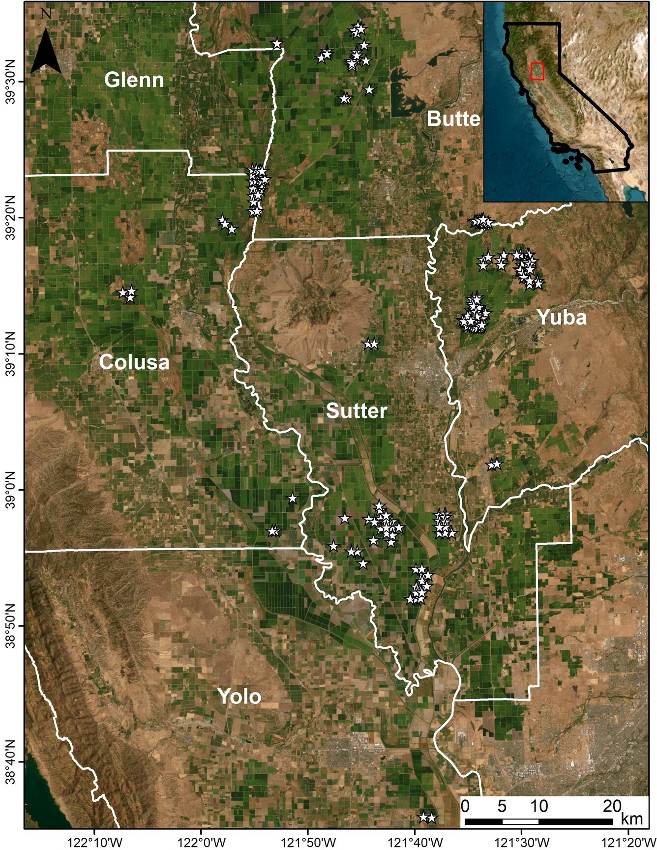 rice field locations
