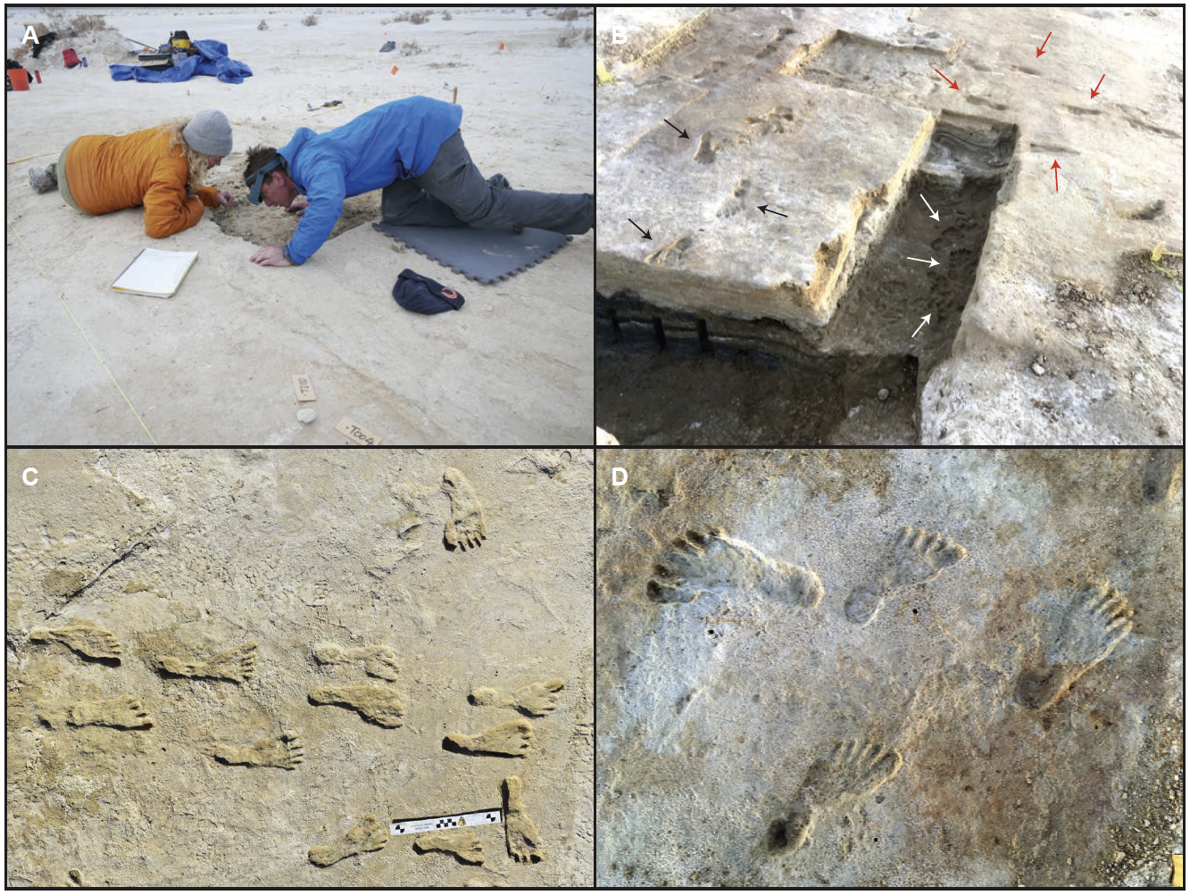 images of study site footprints