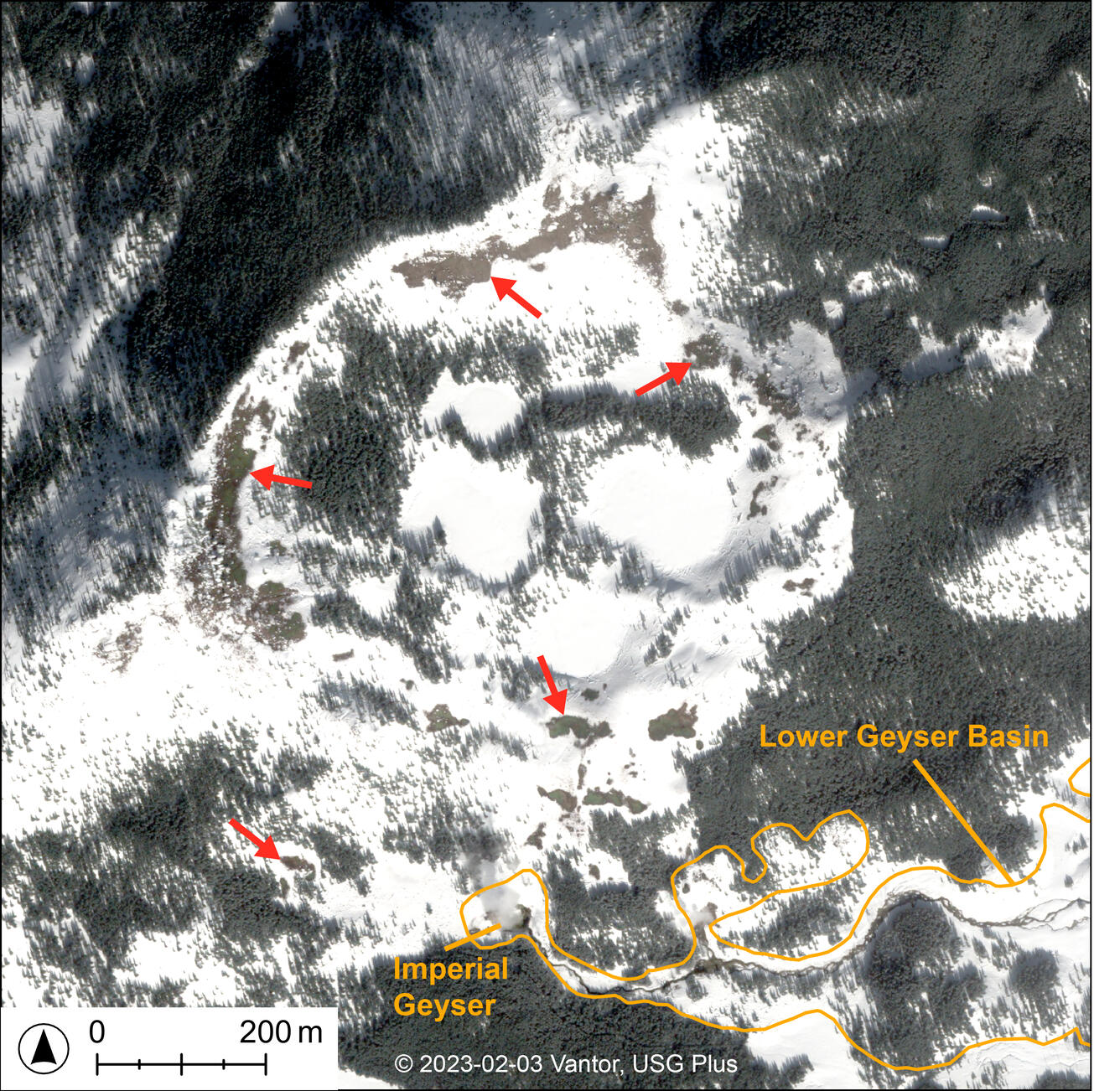Area of snowy and tree-covered ground, with scattered occasional bare patches of brown soil