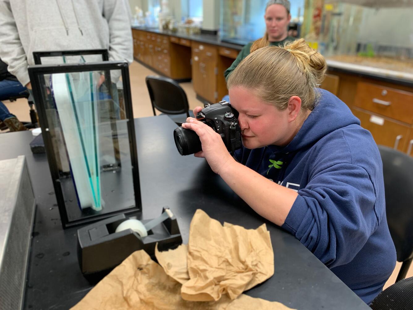 graduate student with a blonde ponytail and blue sweatshirt photographs a rosyside dace fish in a lab