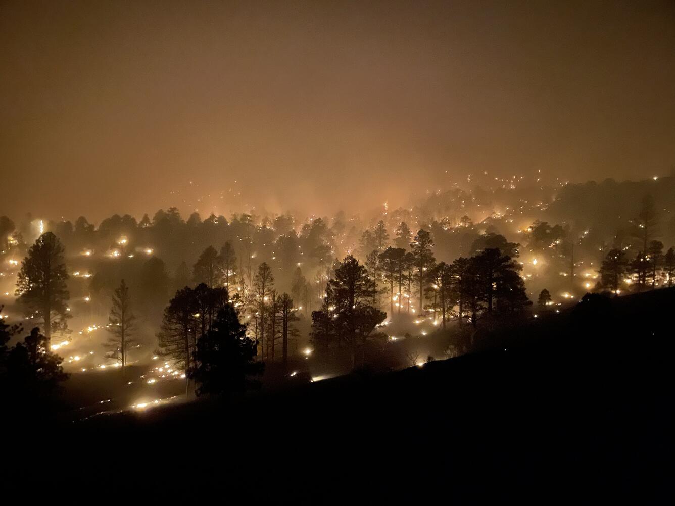 fire burning parts of a forest at night time