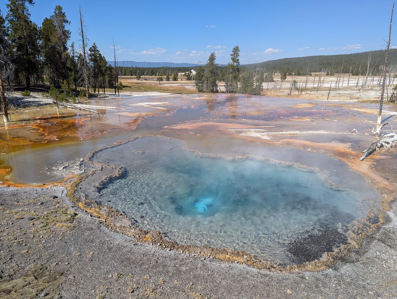 Hot spring with clear-blue water and bubbles in the center, surrounded by wet silica sinter under blue sky; pine trees behind