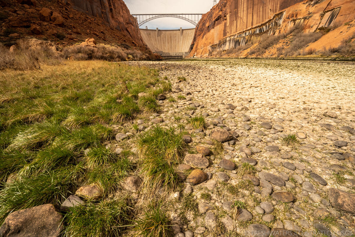 Looking upstream at Glen Canyon Dam during the low flow experiment in March 2021