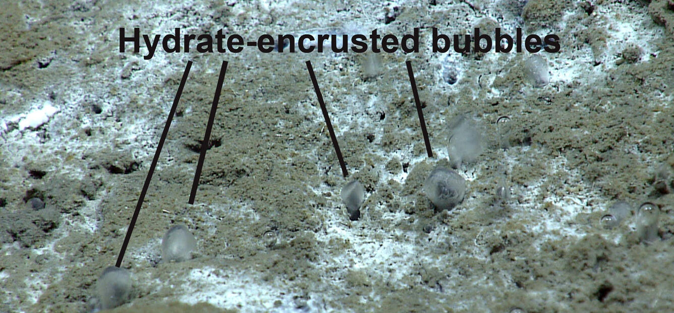 Photo of the seafloor with icy shells made from gas escaping.