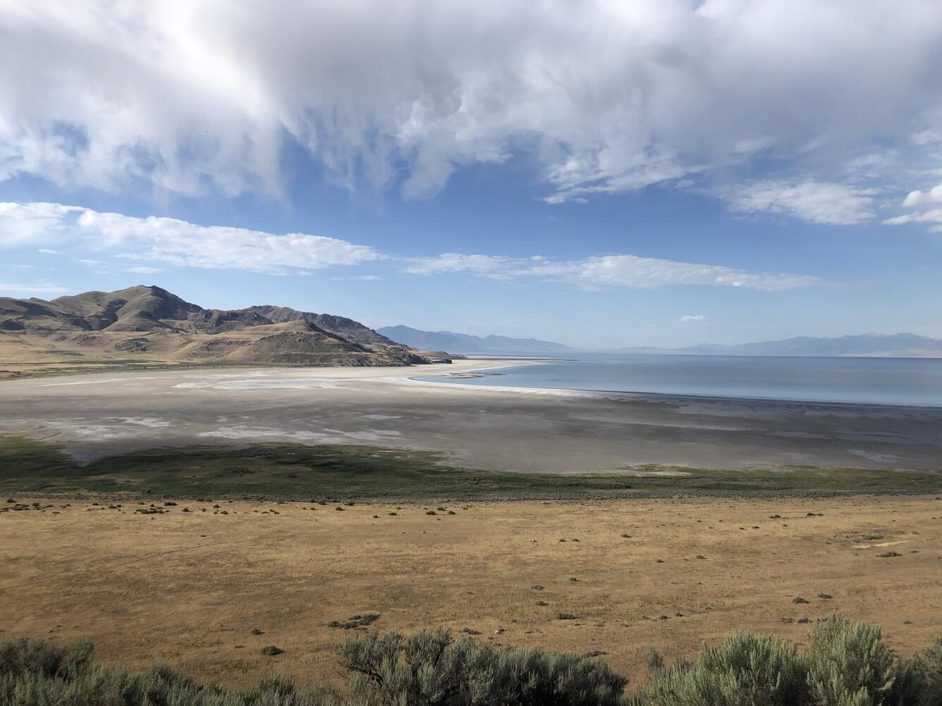rocky, vegetated shoreline of a lake in an arid environment. The water is calm and reflects the low, brown hills