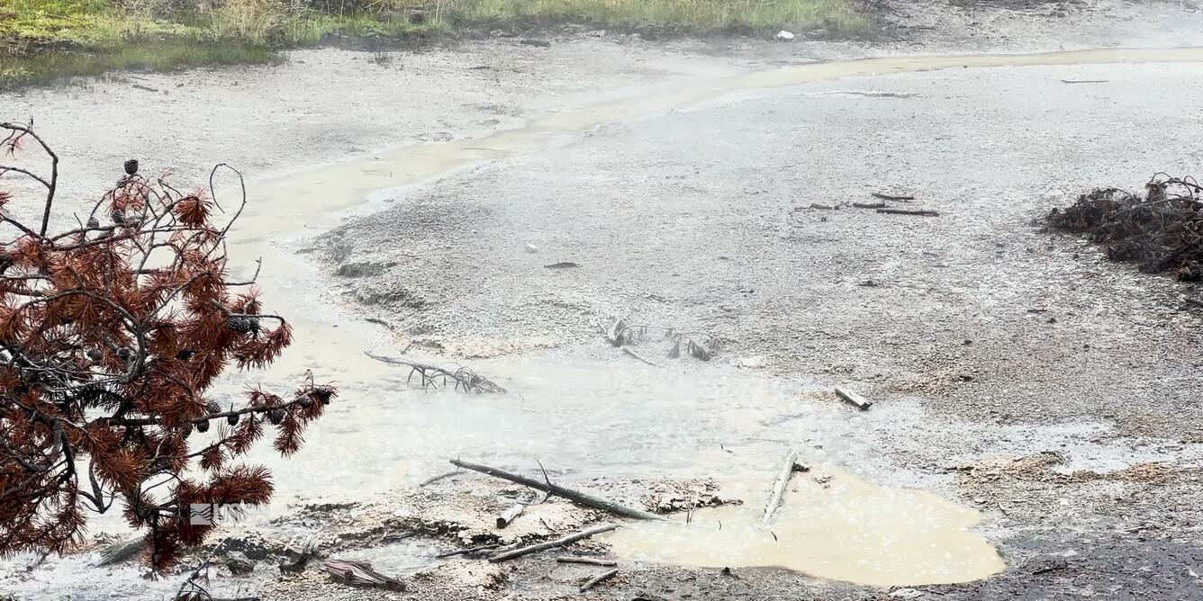 A muddy, flat area with small bubbling water.