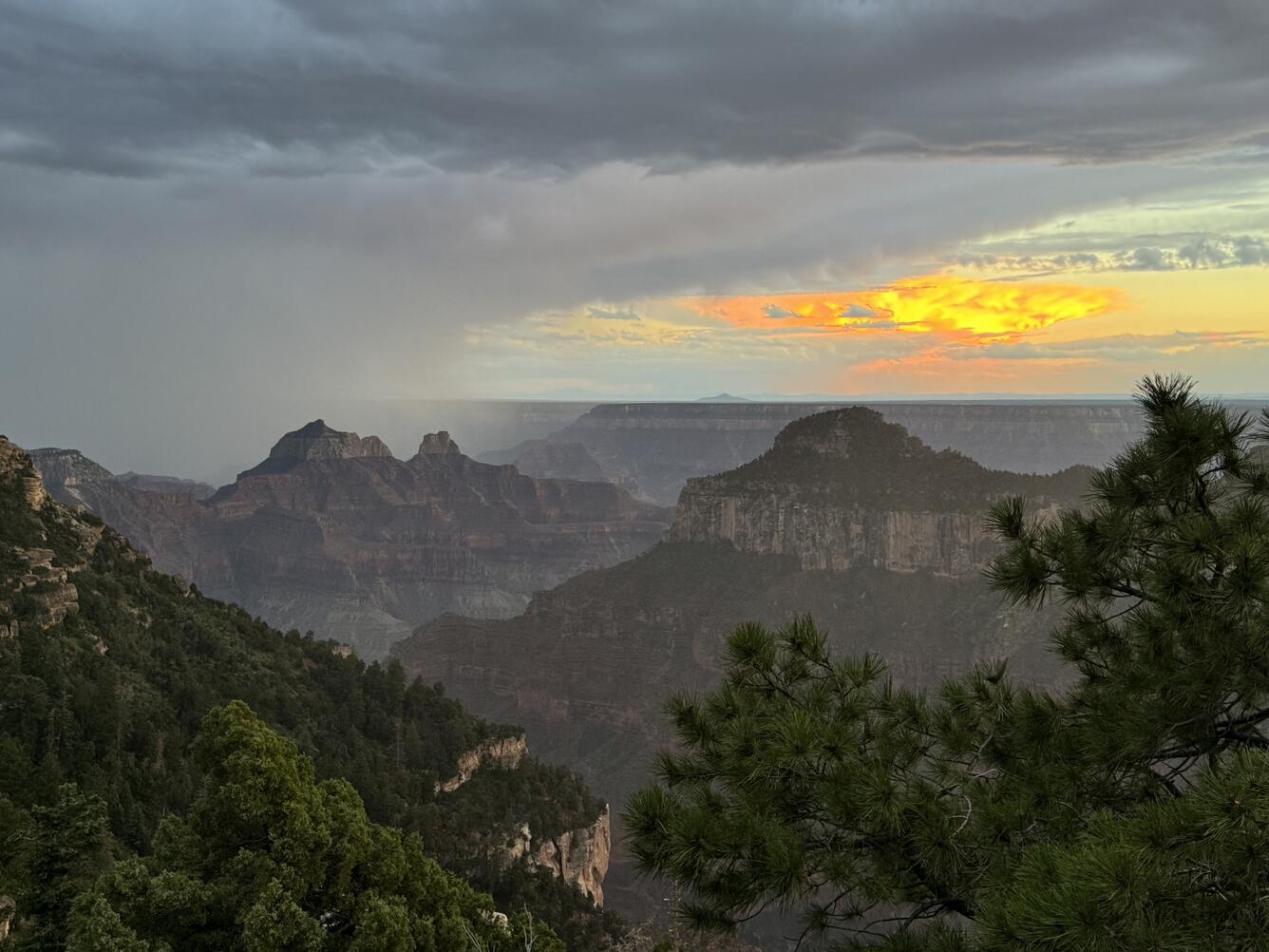 A rainstorm downburst moves across the top of mountains with pine trees in the foreground and a yellow sunset in the distance