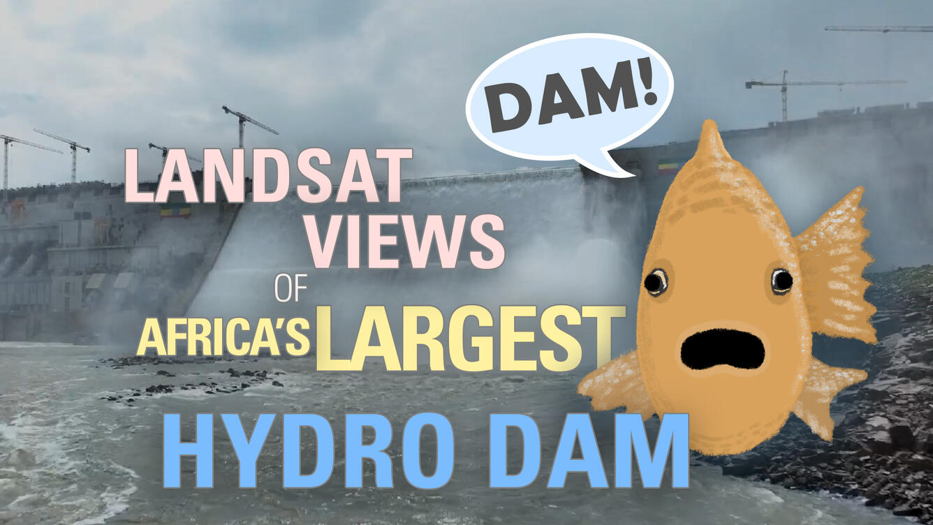 Photo of water and a dam with title in various colors on top, plus a fish illustration with a word bubble