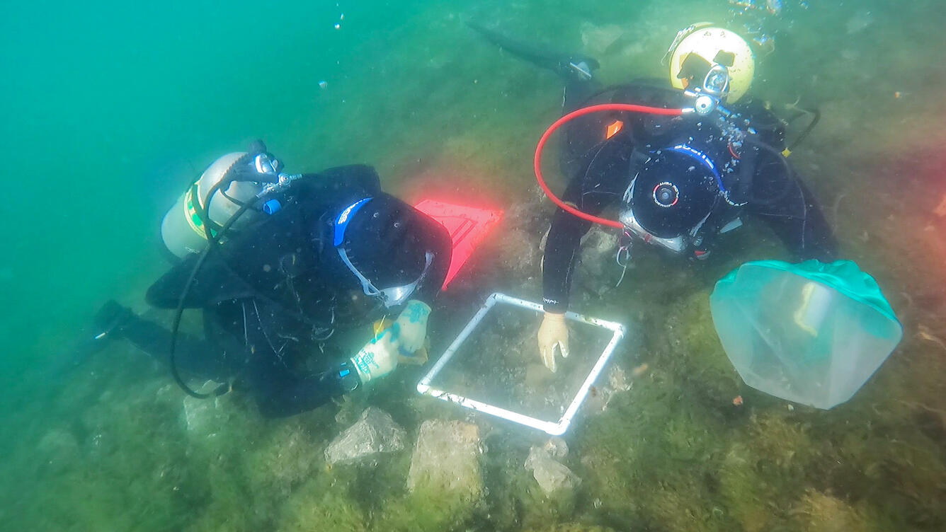 Two scuba divers taking a sample using a pvc square to define the sample area