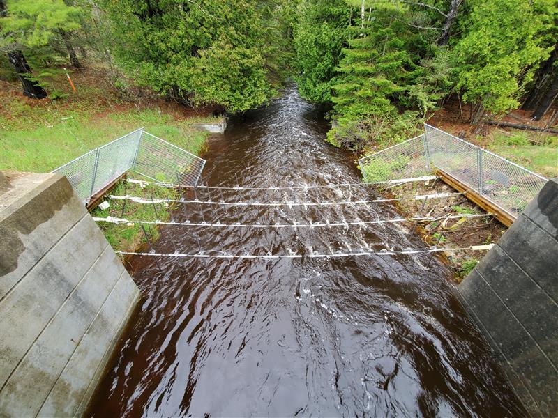 Four wires with hanging metal rods protected by a fence crossing a stream with dark brown water
