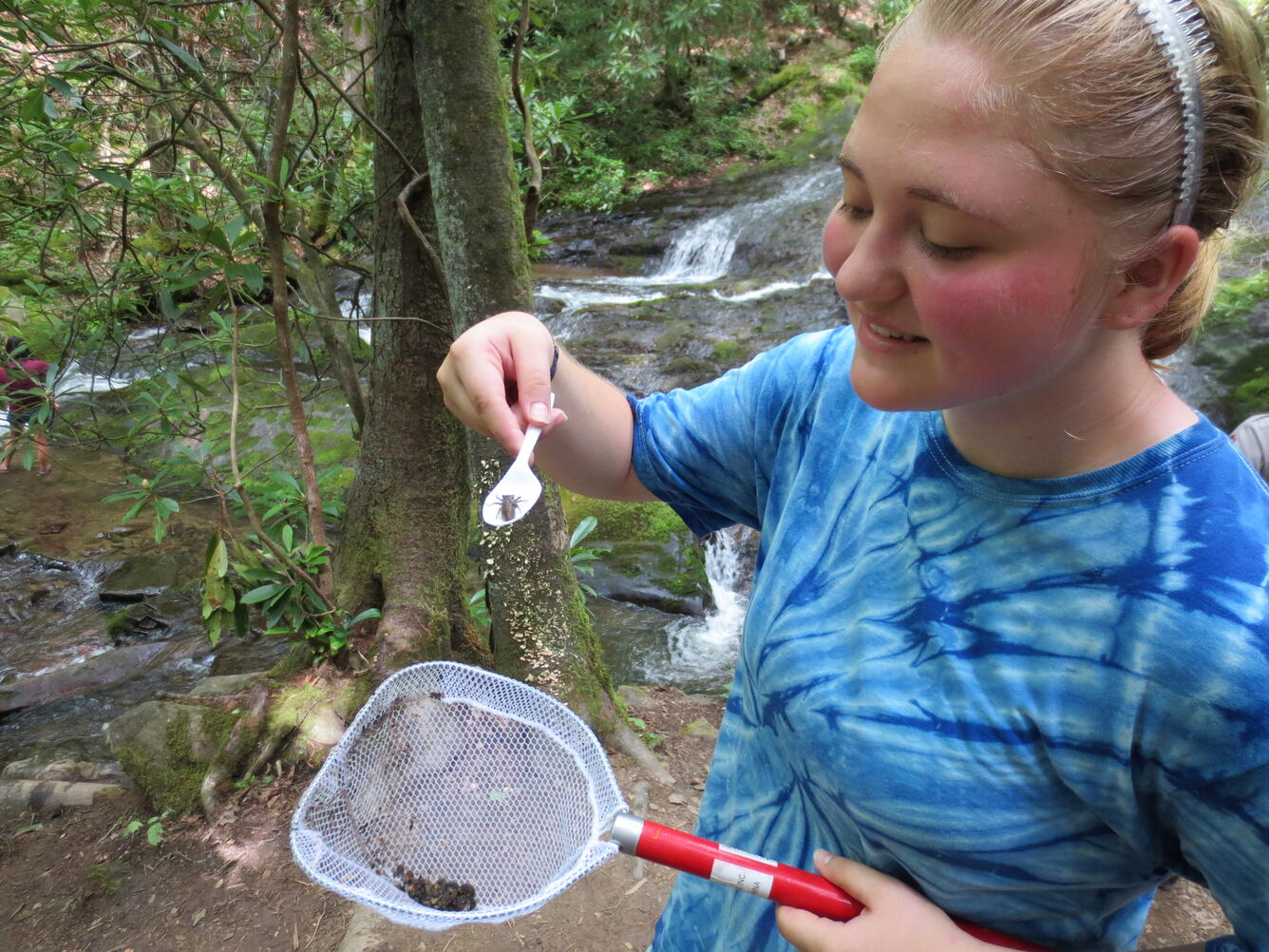 Public participant collects dragonfly larvae for Dragonfly Mercury Project.