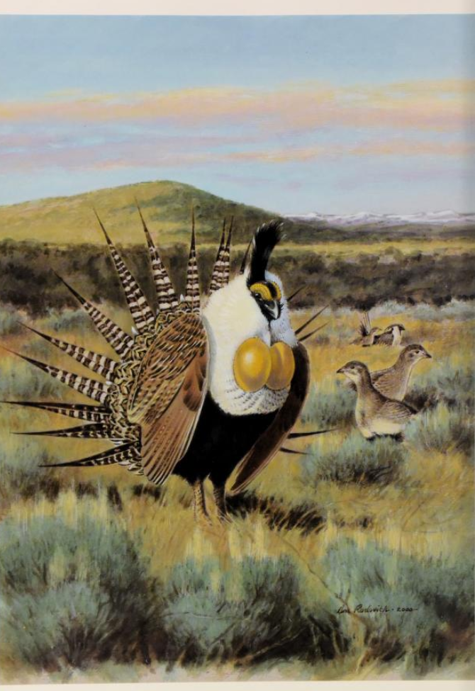 colorful painting of a large bird with extensive plumage, a few small birds behind the larger bird, and a sagebrush landscape