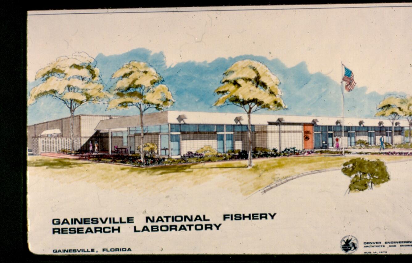 An image of a 1978 postcard showing a drawing of the Gainesville National Fishery Research Laboratory.