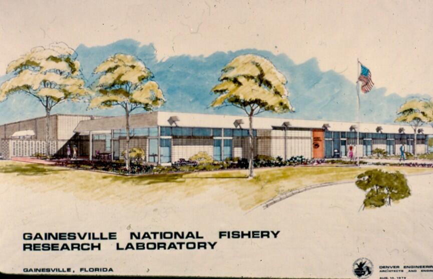A 1978 postcard showing a drawing of the Gainesville National Fishery Research Laboratory.