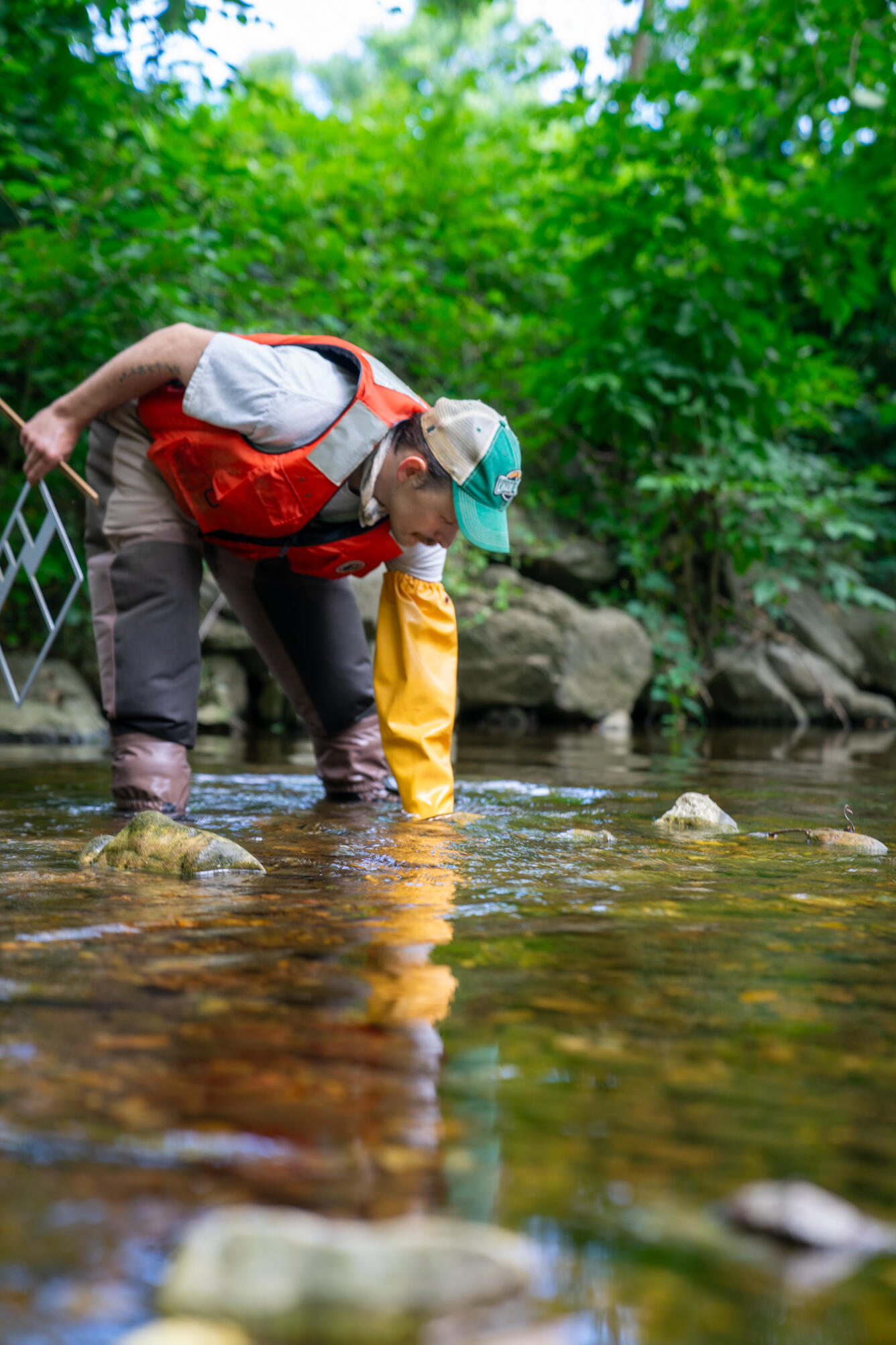 USGS scientist collecting pebble count data in an urban stream in Baltimore, Maryland