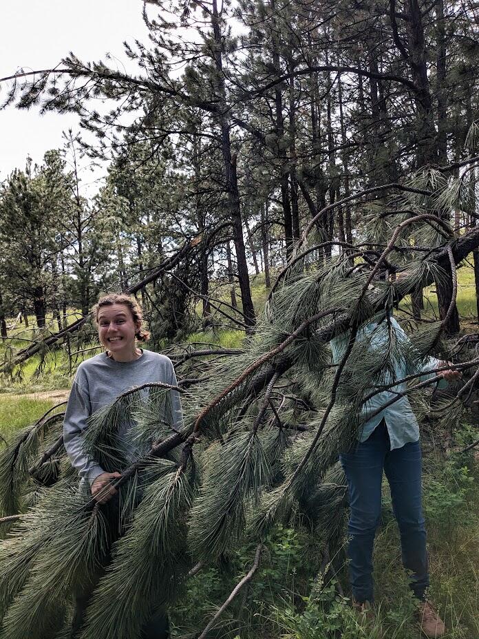 Two women pull back a tree branch