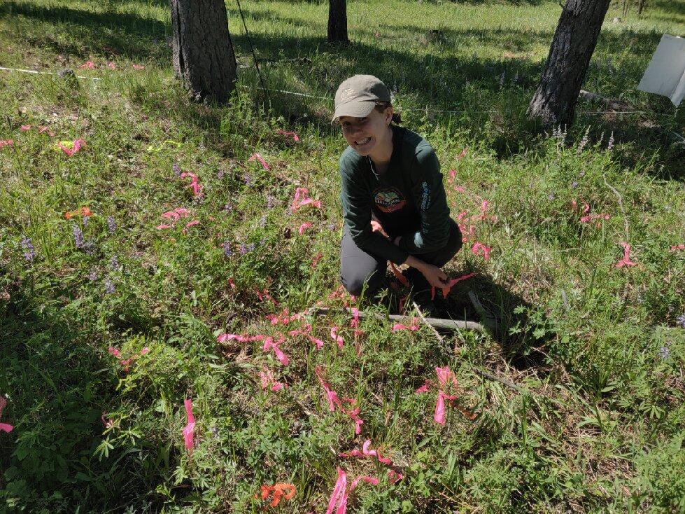 A woman sits in a field