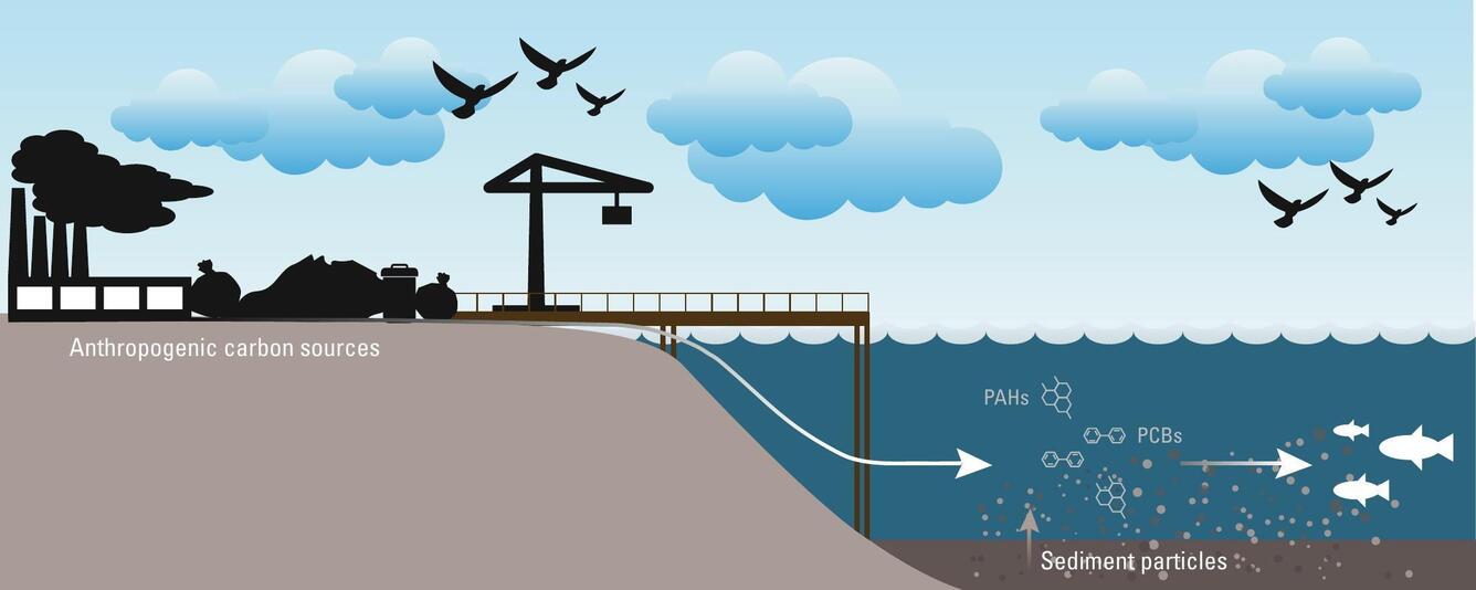 Graphical abstract for Bellingham Bay contaminant study showing pathways of contamination