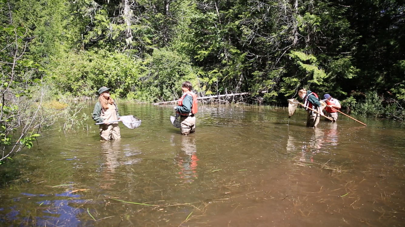 Public participants help collect dragonfly larvae and record field data