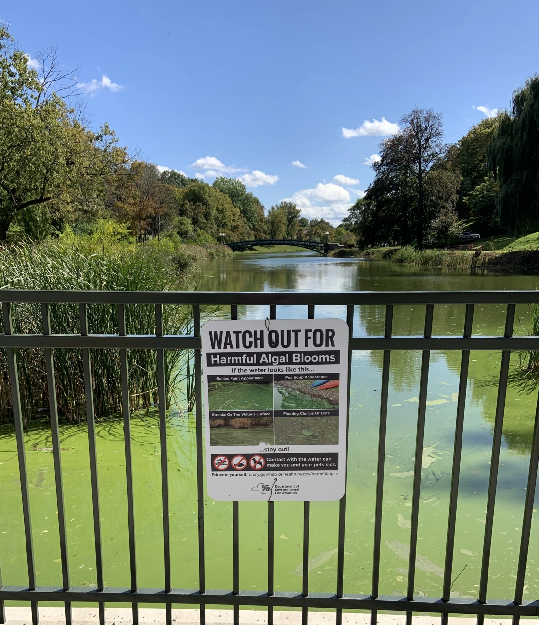 warning sign on an iron railing along a bridge spanning a channel with green water.