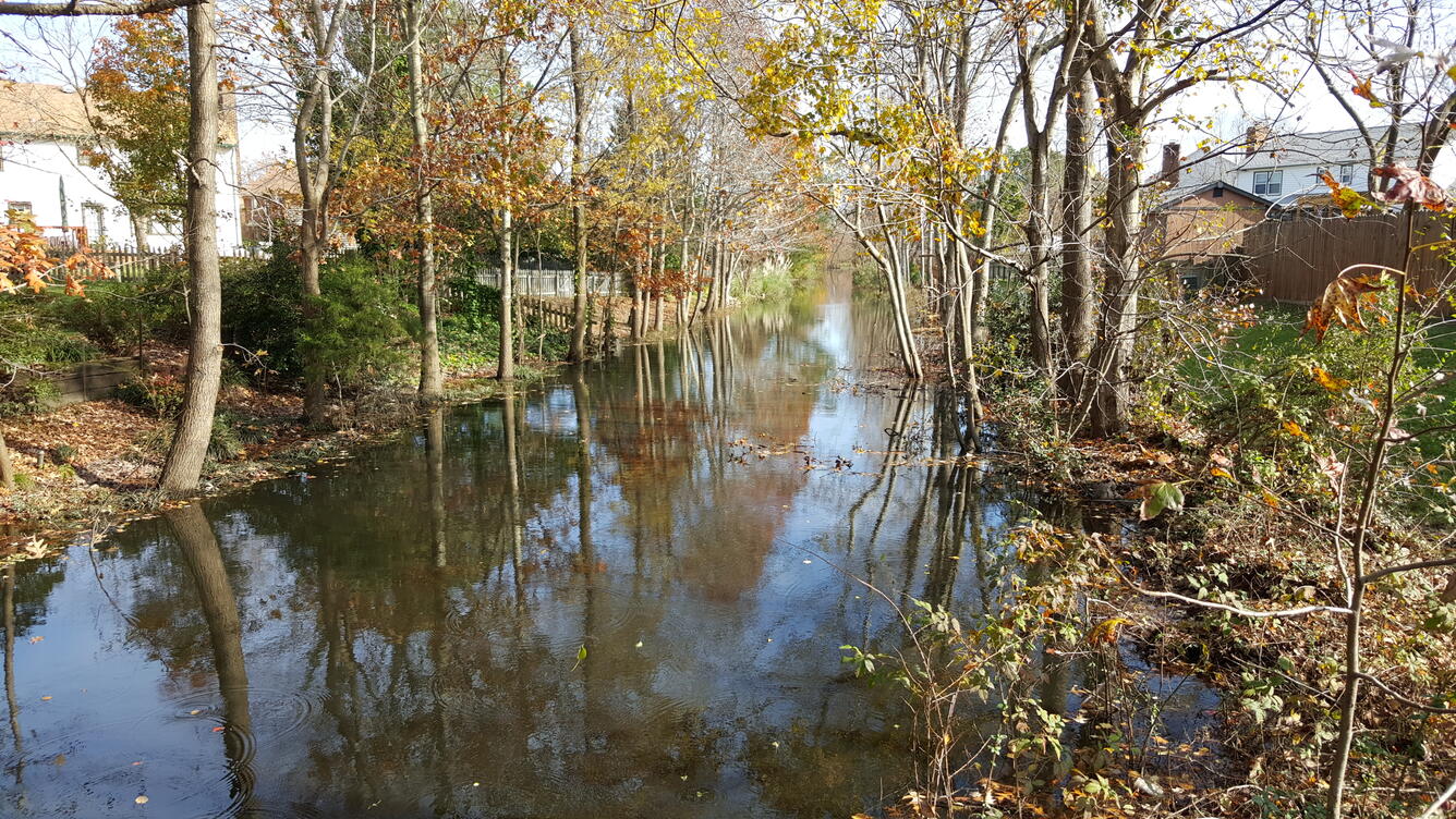 A drainage creek between two rows of houses in Hampton Roads, Virginia.