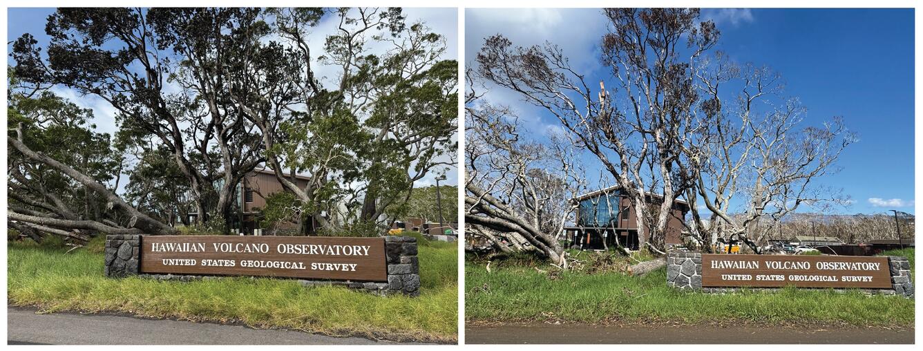 Color photographs of vegetation changes near a brown wooden sign