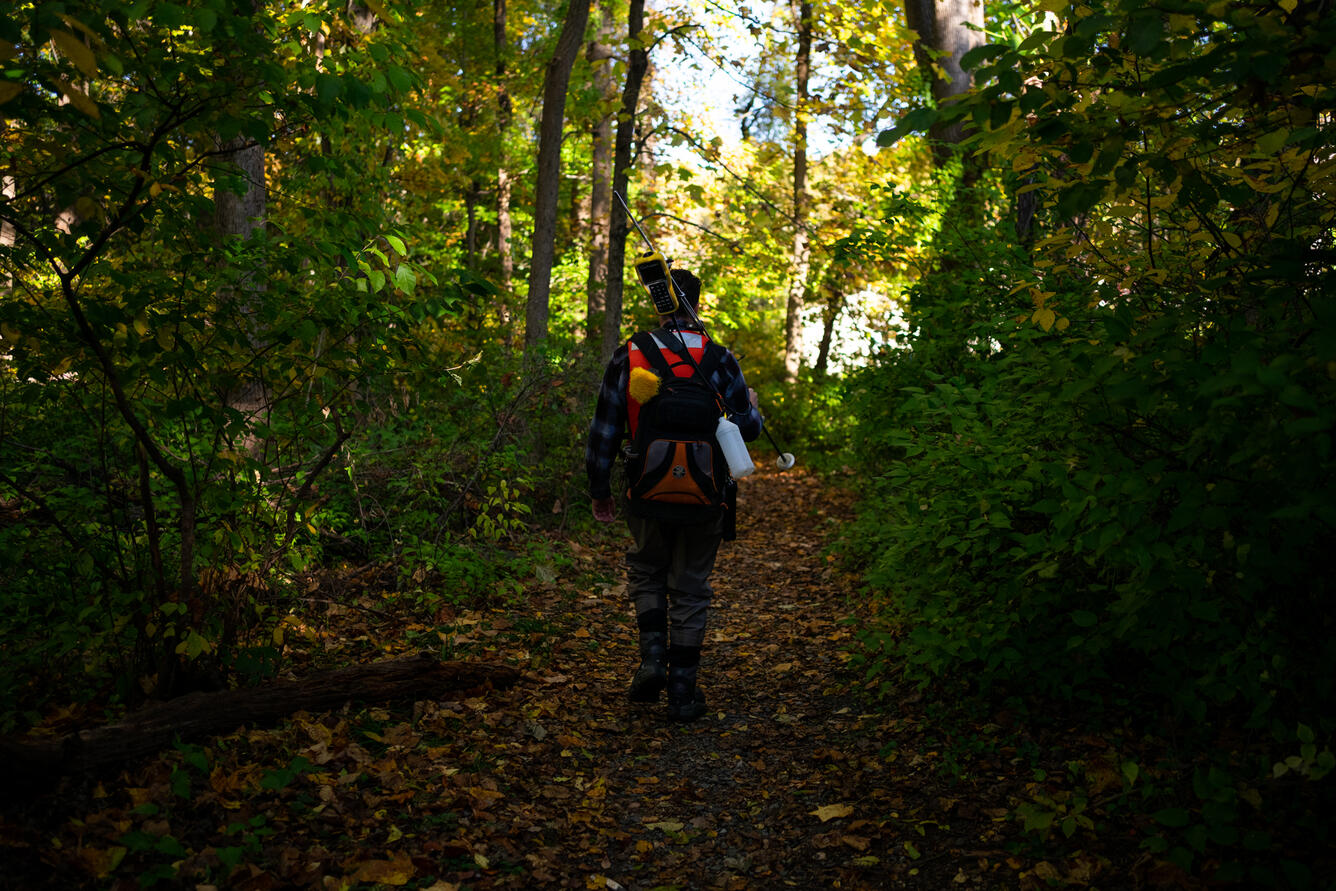 A USGS hydrologic technician carrying equipment and wearing a backpack walks through a forest.