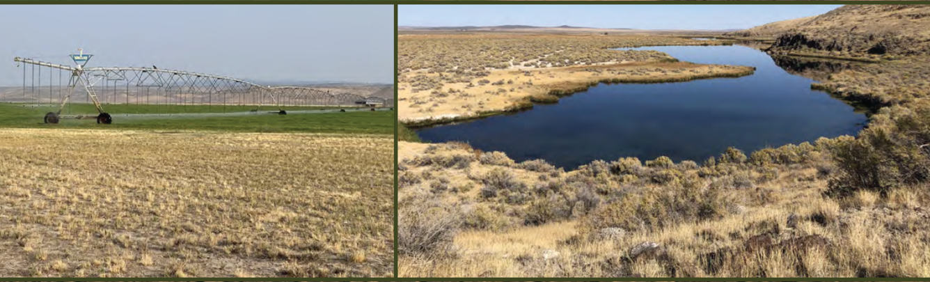 side by side images of an irrigated field and a small water body in Harney Basin