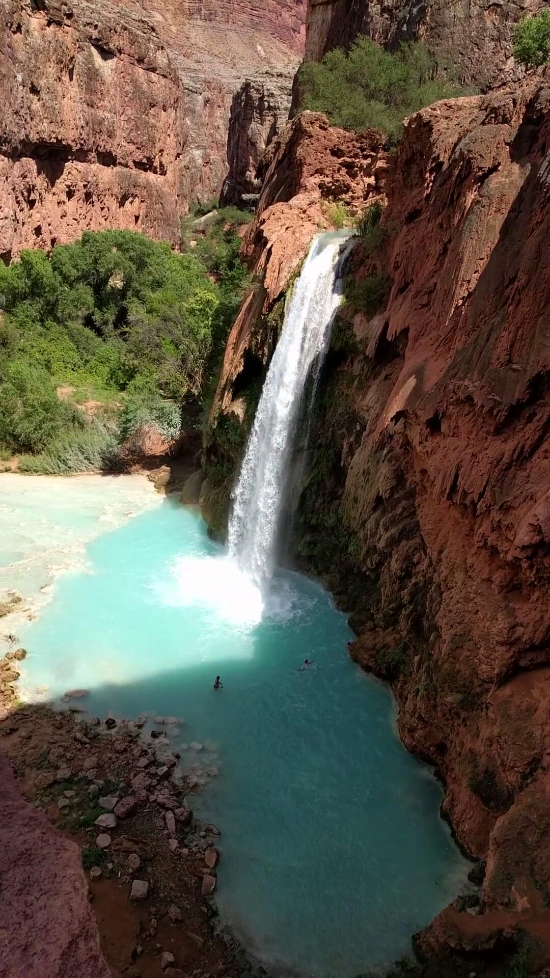 Photo of Havasu waterfall dropping into a light blue pool of water.