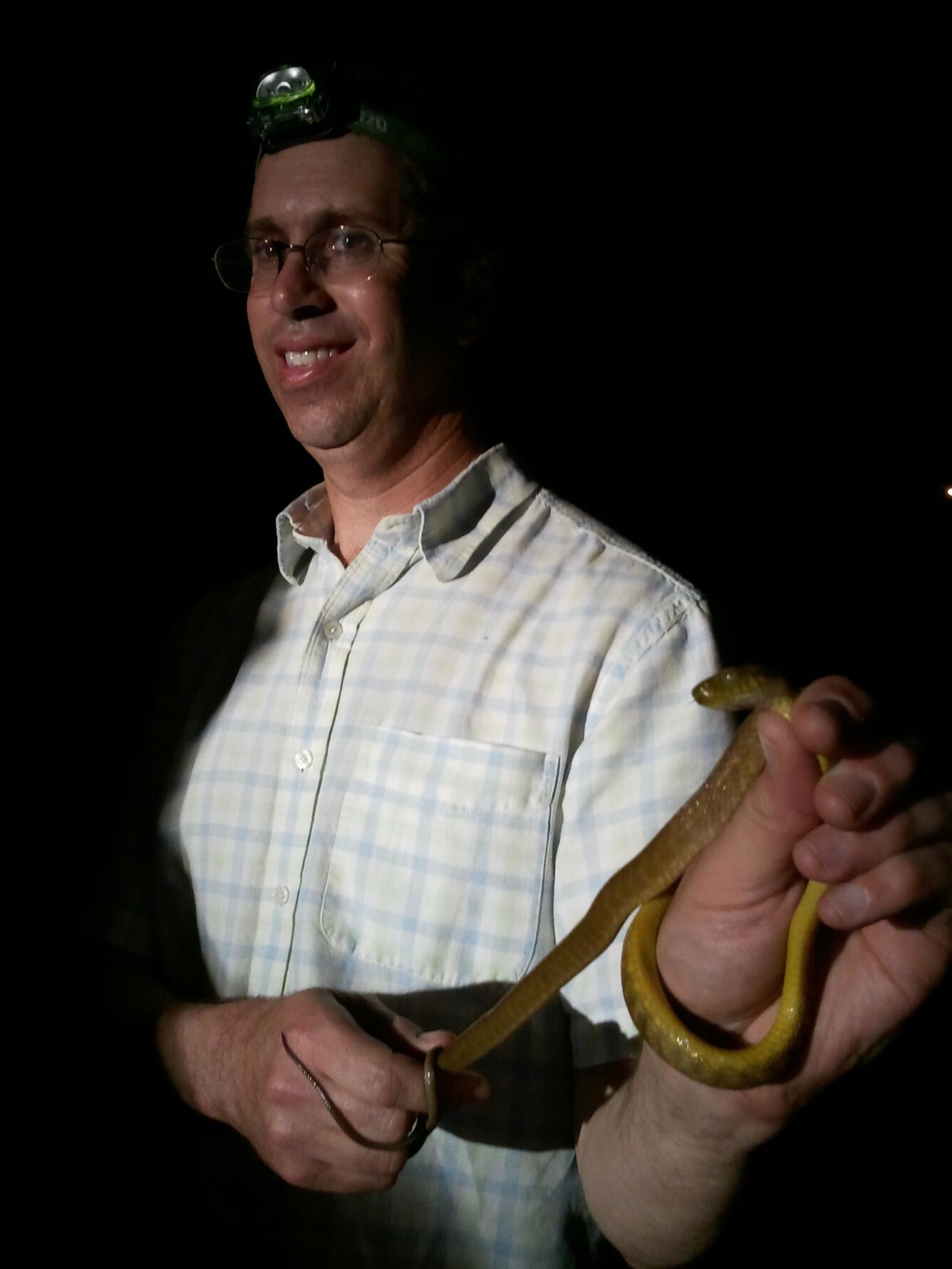 A photo of a man in glasses wearing a head lamp and a collared shirt smiling and holding a brown tree snake.