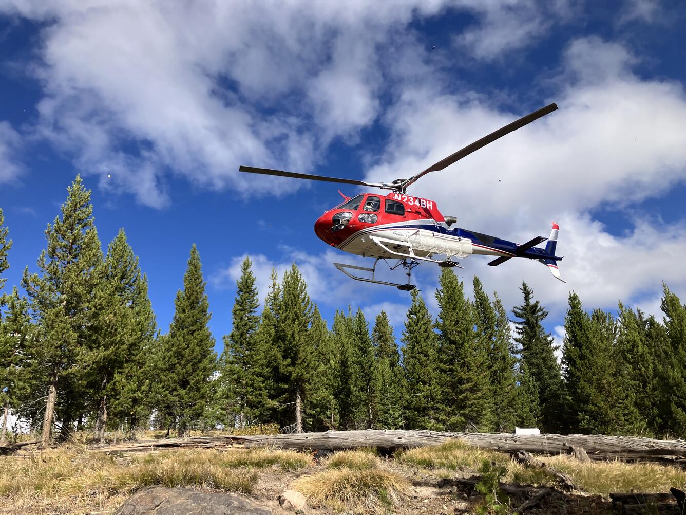 A helicopter hovers above a grassy clearing under partly cloudy skies with pine trees in the background