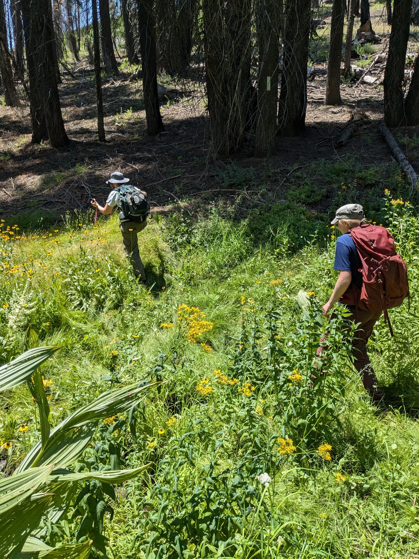 Two women hiking