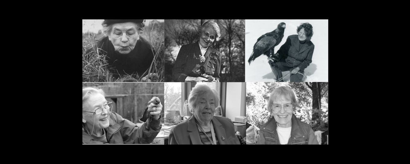 10 photos combined of women bird banders, in black and white 
