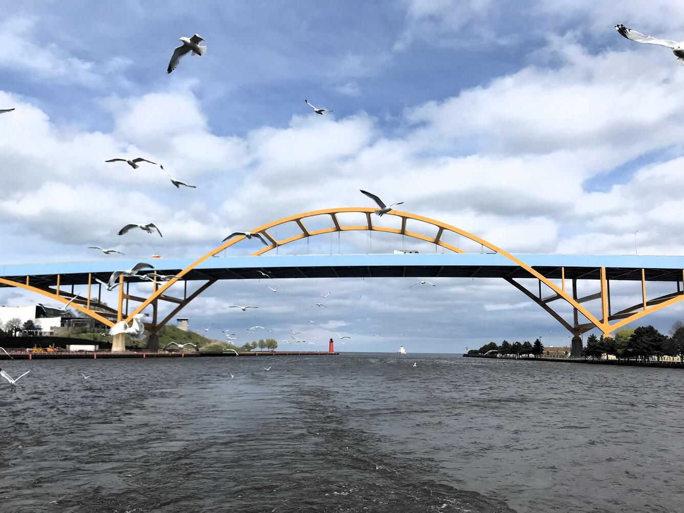 View of Hoan Bridge in Milwaukee with seagulls flying in foreground