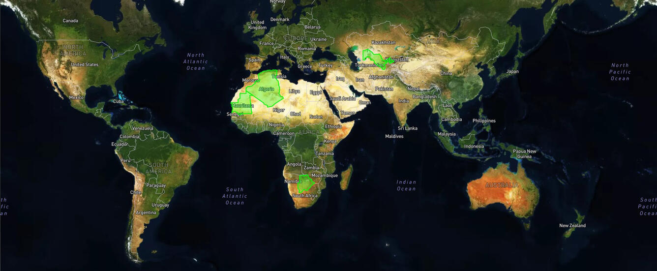 Satellite map view of world with four countries highlighted in green.