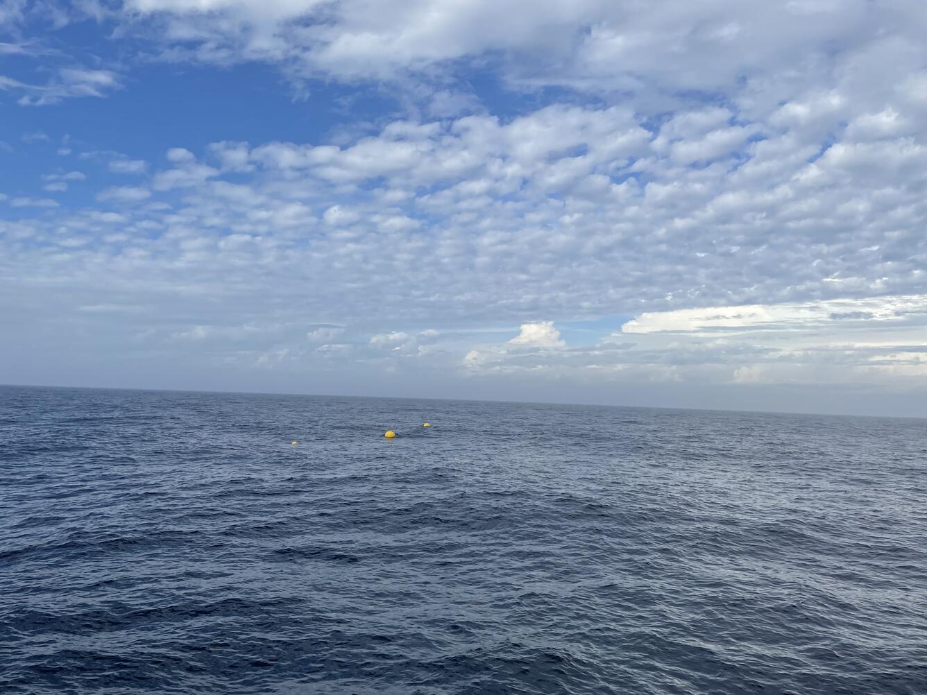 surfaced buoys in the ocean