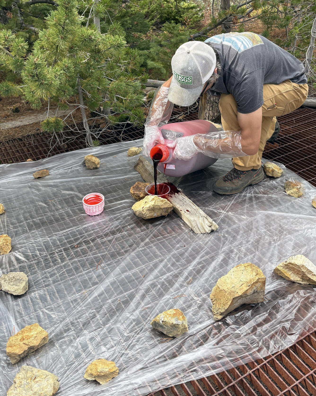A person wearing a USGS cap and gloves crouches outdoors, pouring a dark red liquid from a large container into a small cup