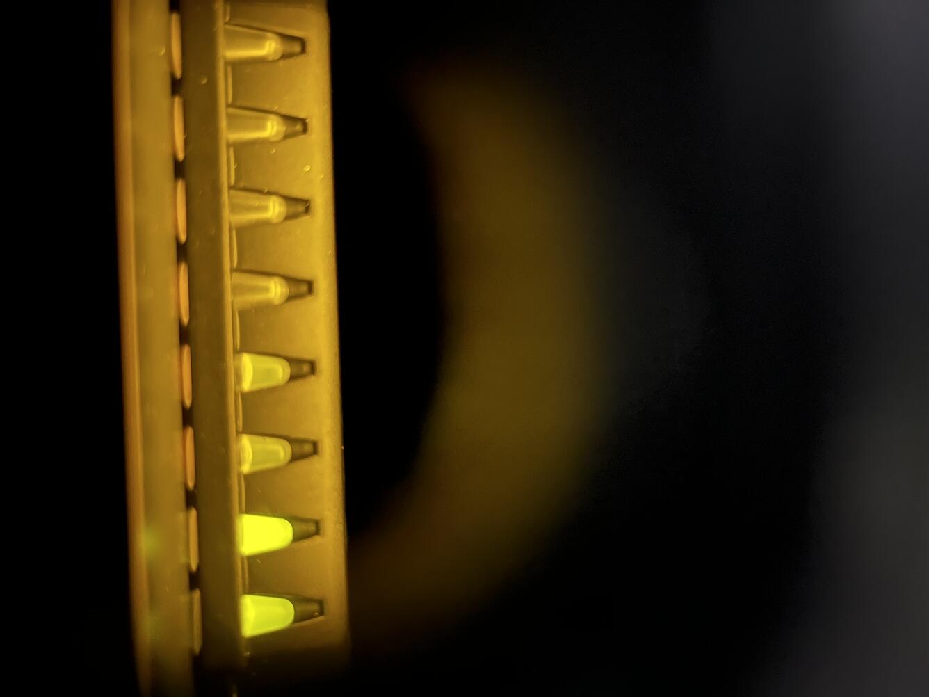 Vials with various volumes of liquid in them glow yellow
