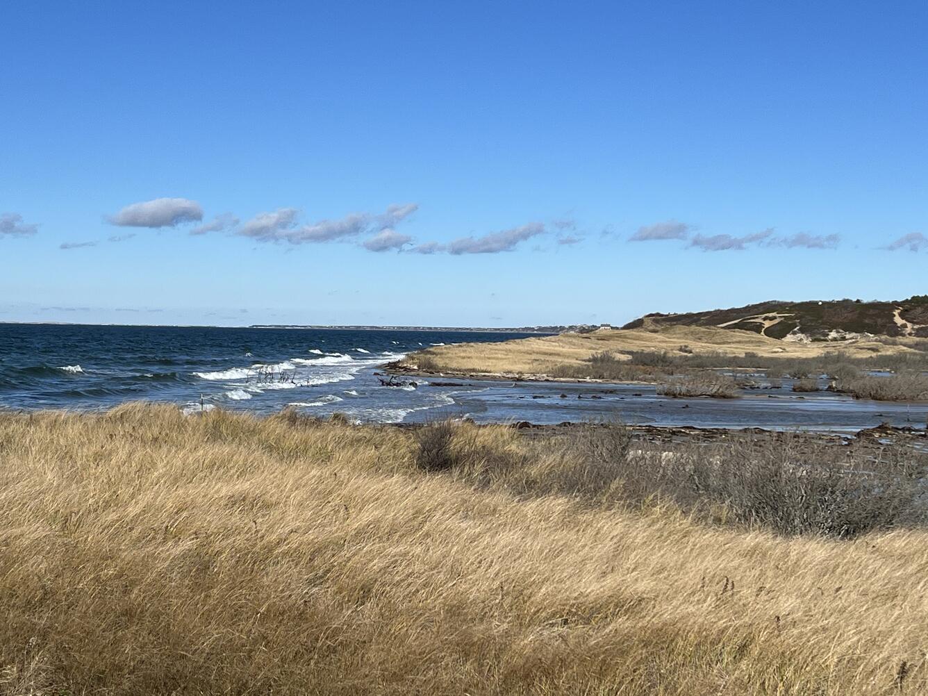 picture of the shoreline where a river is meeting the ocean on a blue sky day