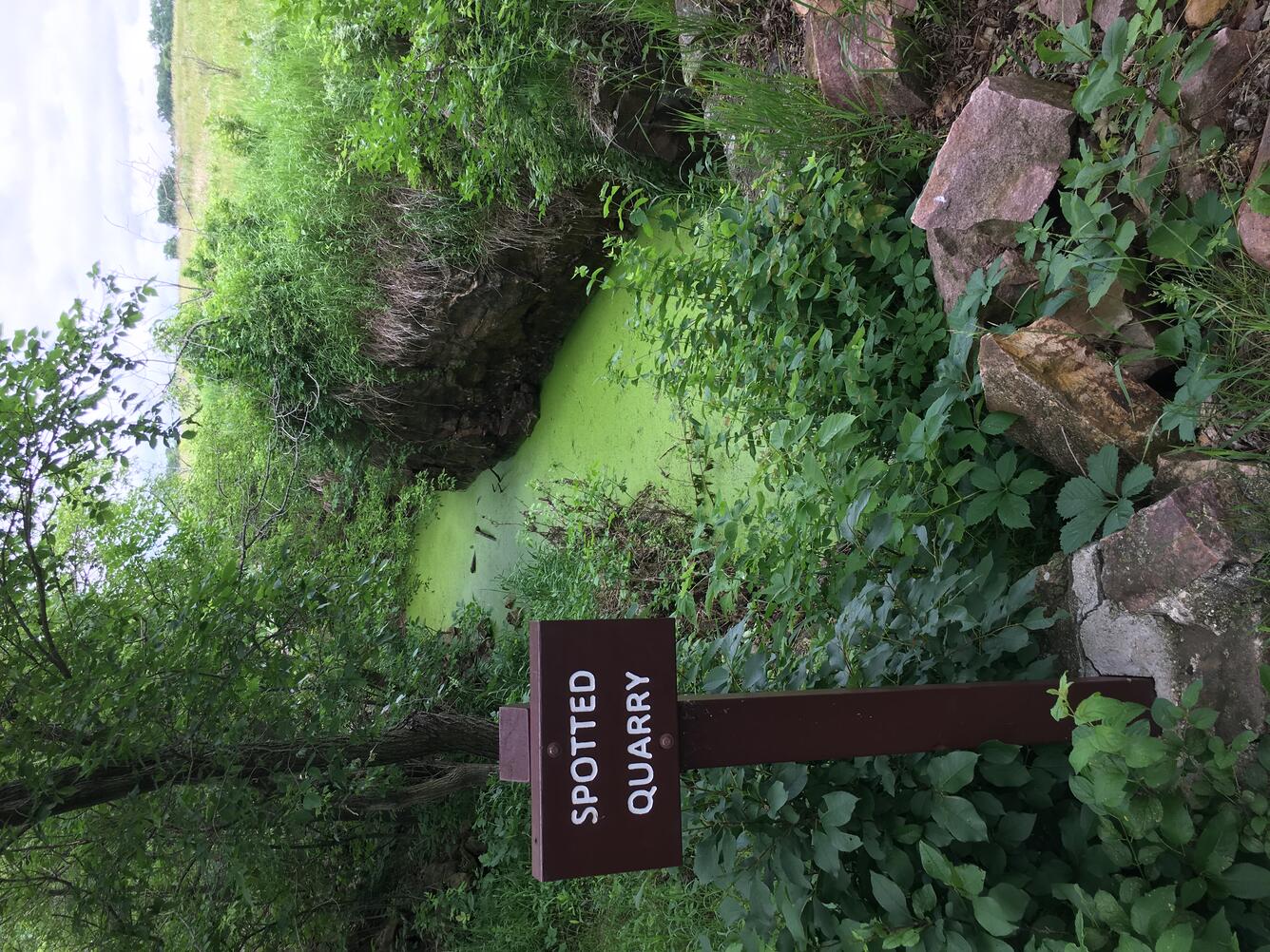 One of the many pipestone quarries at Pipestone National Monument, filled with water and vegetation.