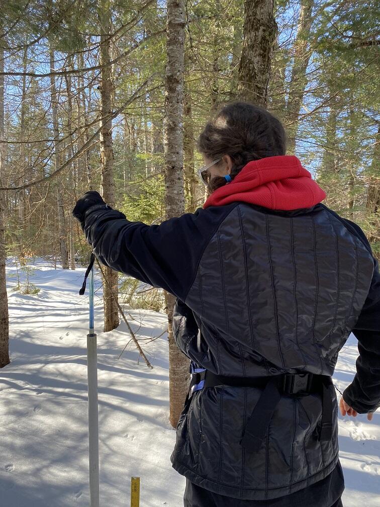 Pulling up a blue tube out of a white PVC pipe in the ground in the winter.