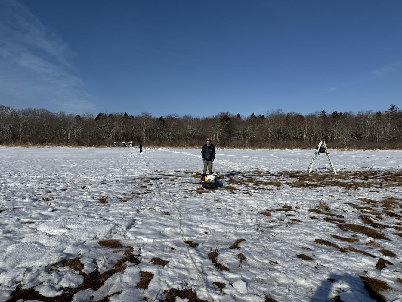 Scientist standing in coastal wetland in winter with snow on the ground