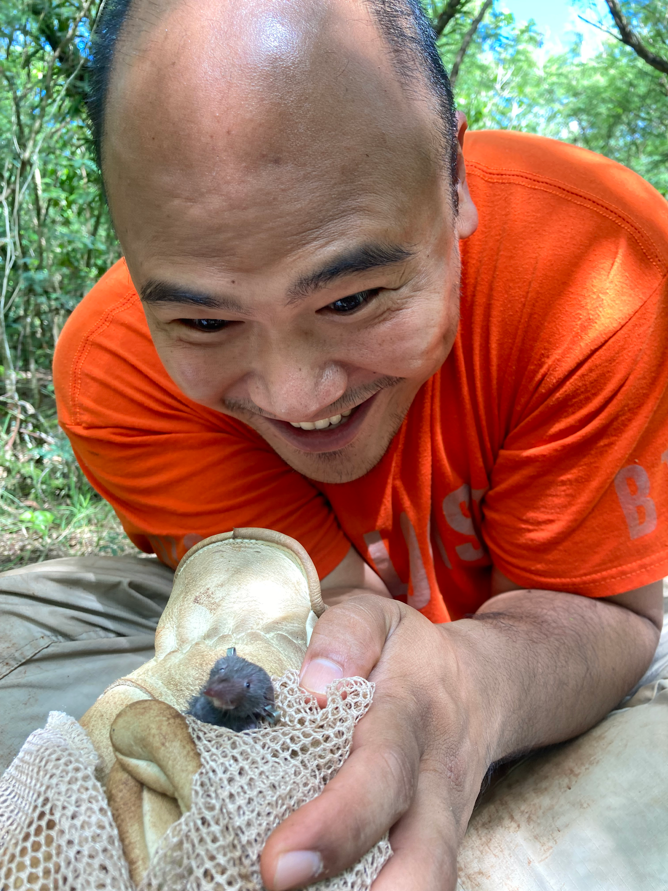 Person wearing an orange shirt leans forward over a shrew held in a gloved hand.