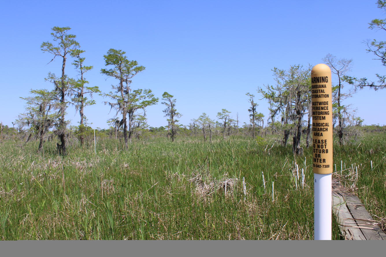 View of a wetland with a orange and white pole with black writing on it