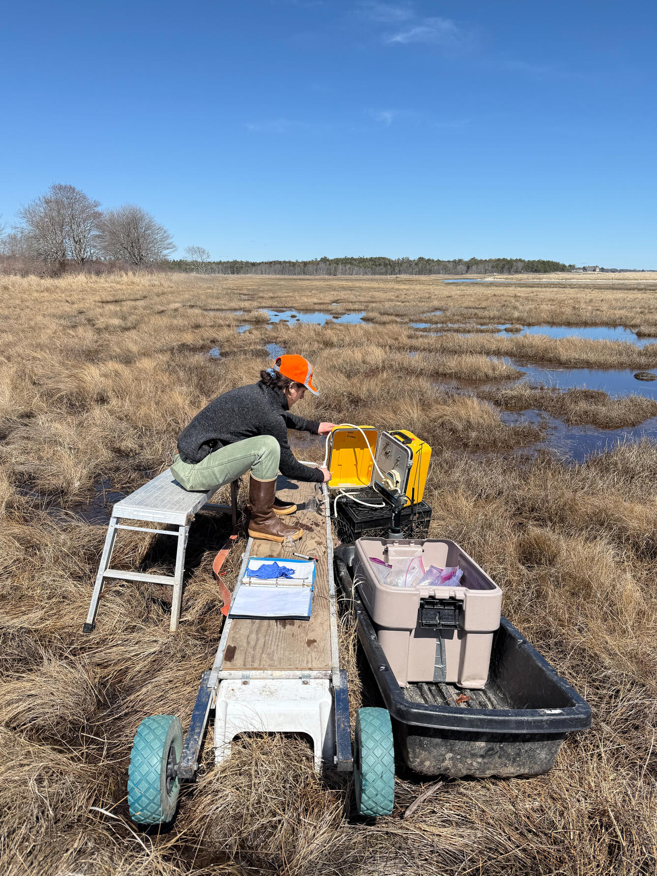 Scientist doing fieldwork in a coastal wetland