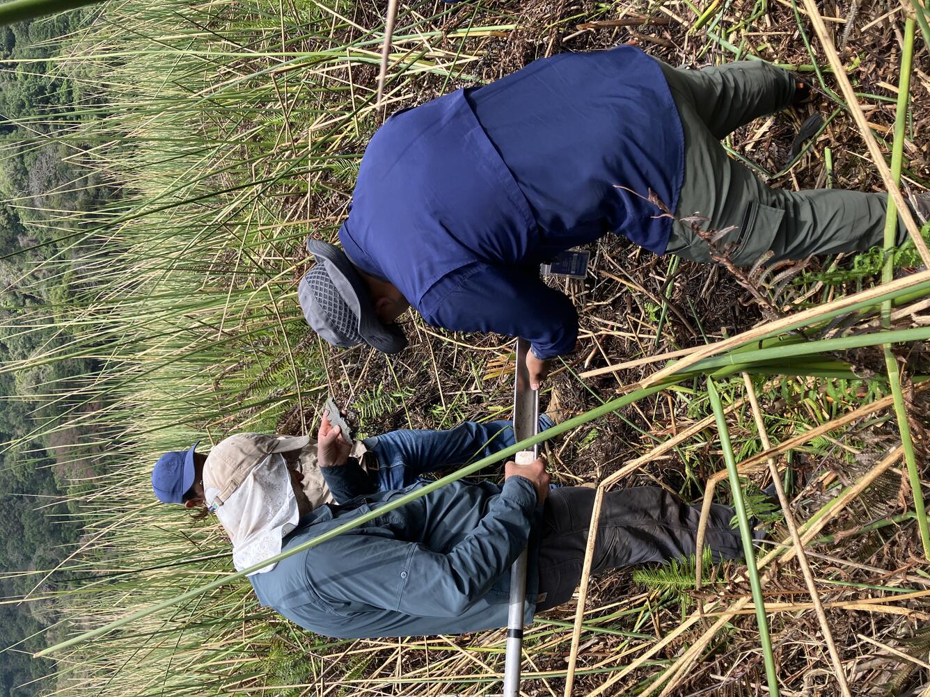 Color photograph of scientists in a grassy environment holding a corer