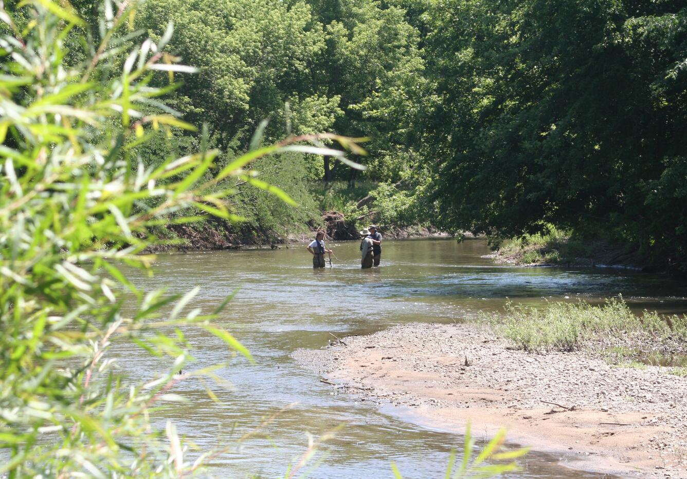 Three people measure streamflow while standing in the middle of an Iowa stream, leafy foliage surrounds stream.