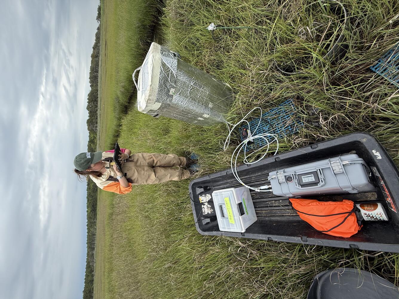 scientist working in coastal wetland