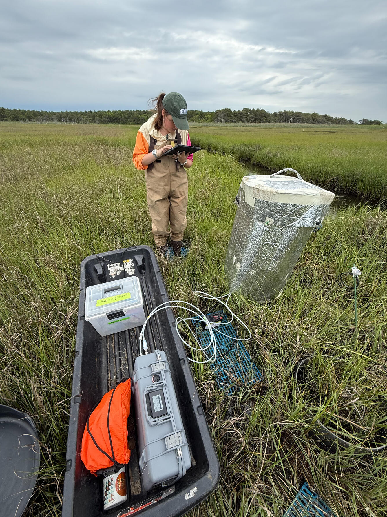 scientist working in a coastal wetland