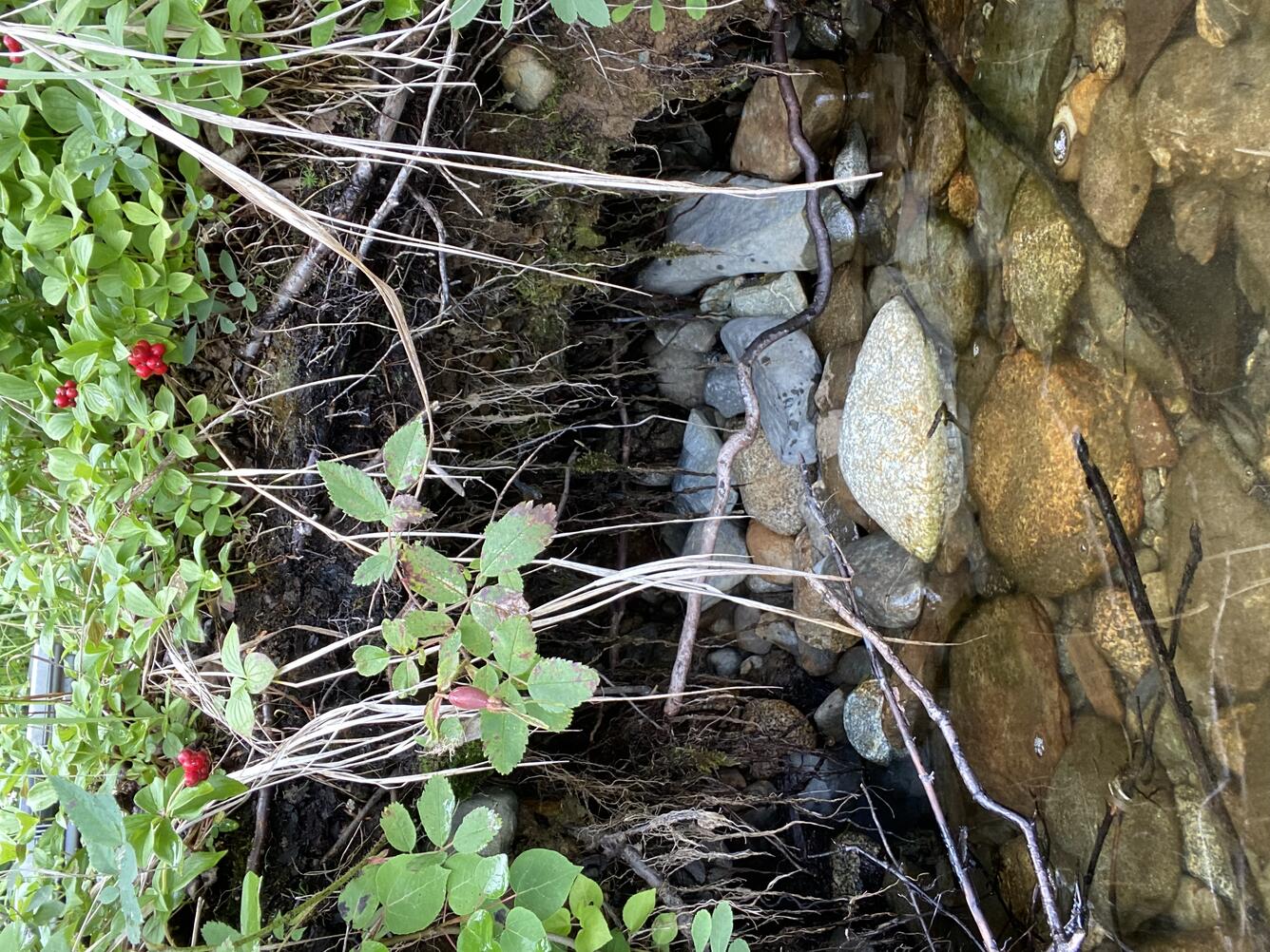 Erosion at Big Lake, Alaska